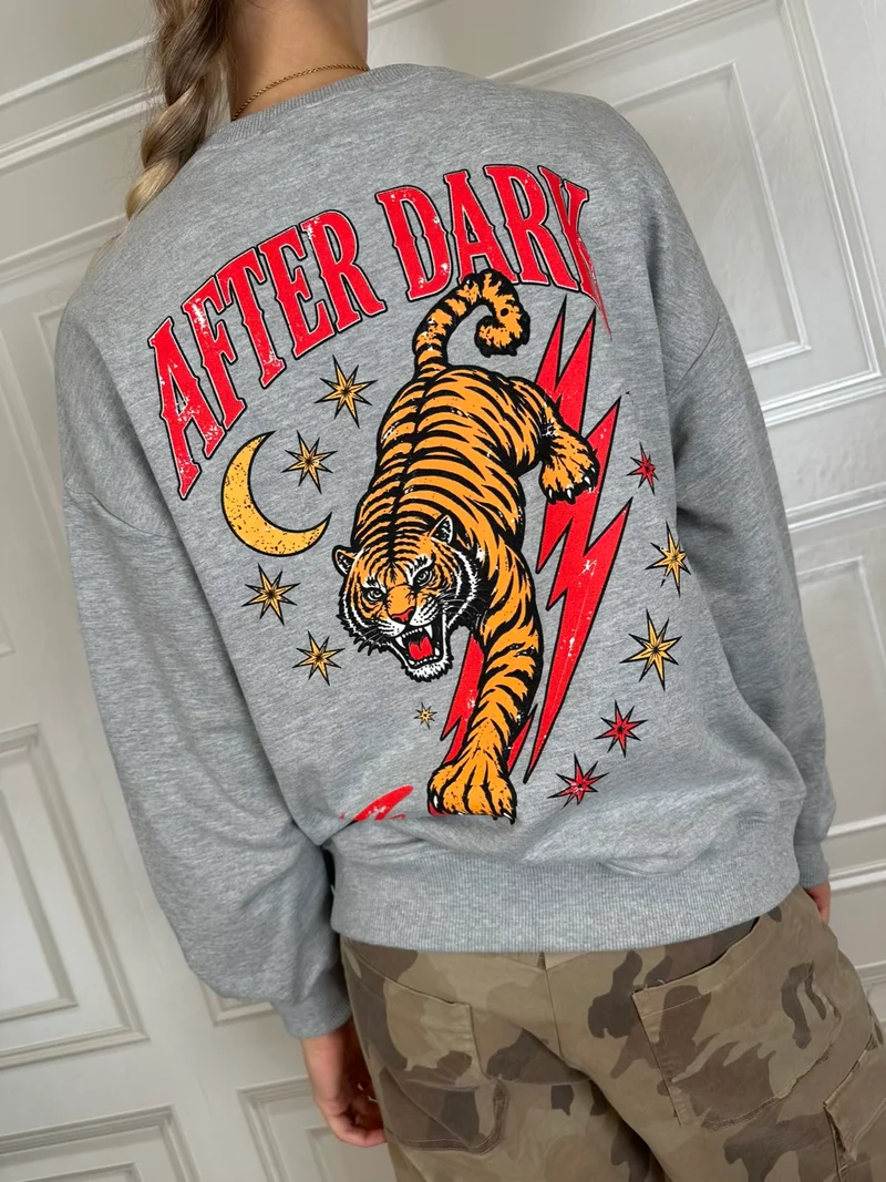 Felpa after dark grigia - Haveone