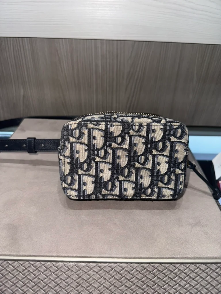 Marsupio Christian Dior Oblique usato