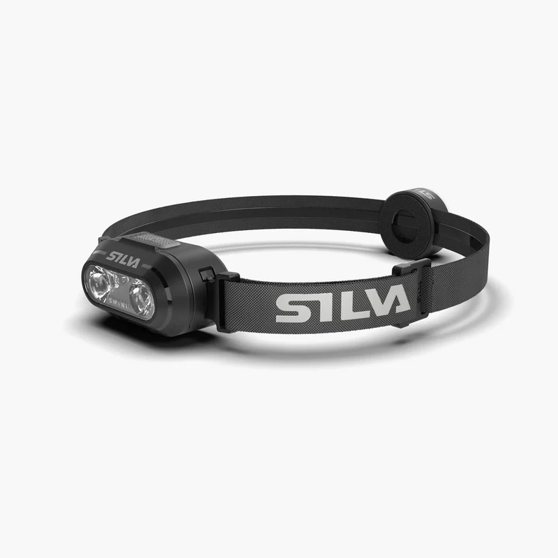 SMINI