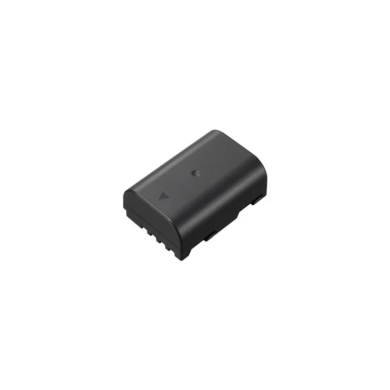 Panasonic batteria DMW-BLF19E