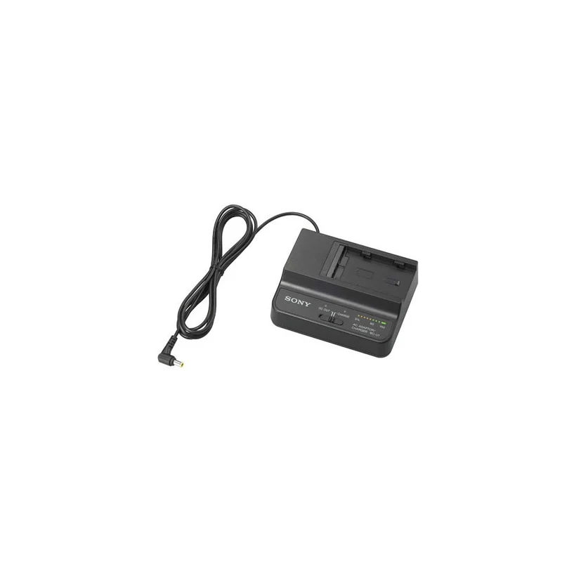 Sony caricabatterie BC-U1A